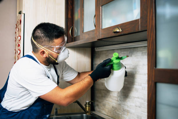 Best Rat Extermination Near Me  in Hustisford, WI