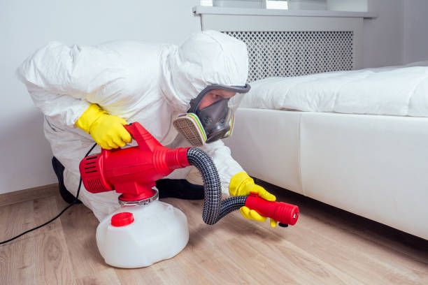 Best Wasp Removal Services  in Hustisford, WI