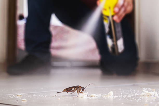 Flea Control Services in Hustisford, WI