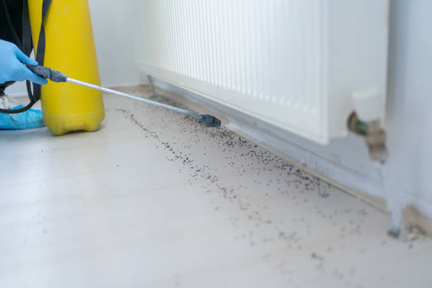 Best Residential Pest Control  in Hustisford, WI