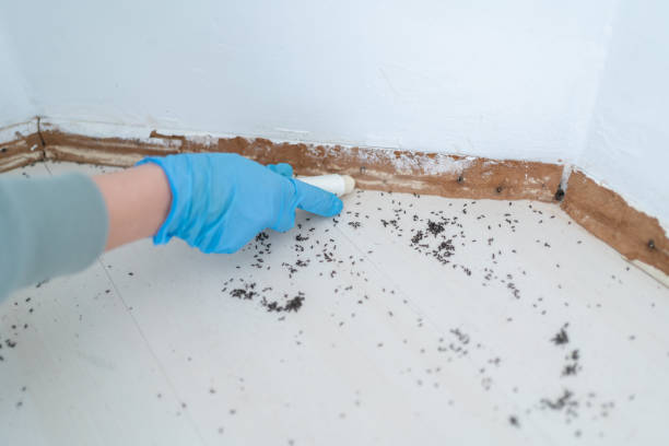 Hustisford, WI Pest Control Company