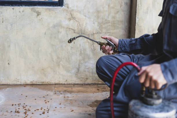 Best Pest Removal Services  in Hustisford, WI