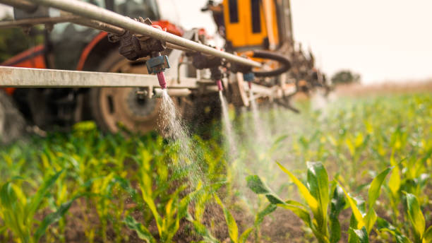 Best Ant Control Services  in Hustisford, WI